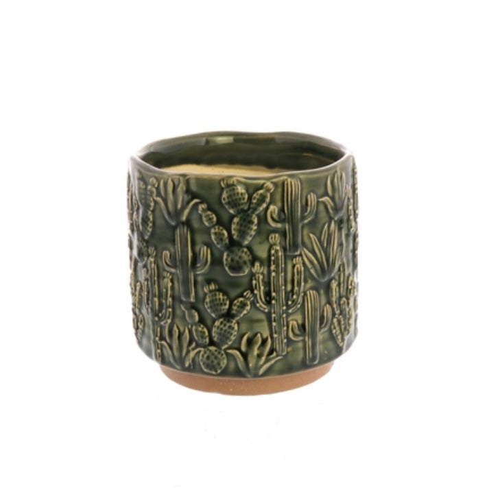 Cactus Cachepot