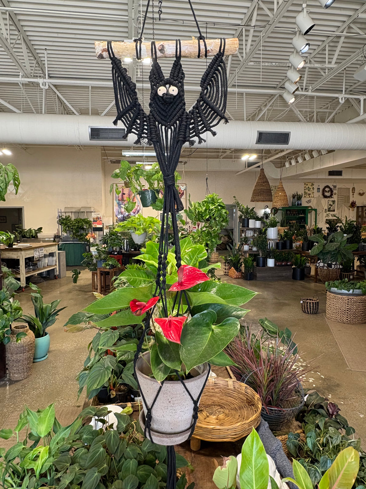 Macrame Workshop