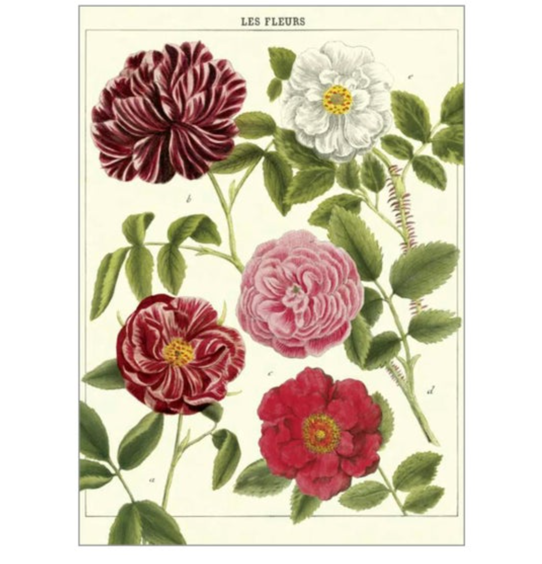 Botanical Poster with Hanging Kit