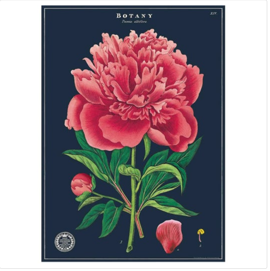 Botanical Poster with Hanging Kit