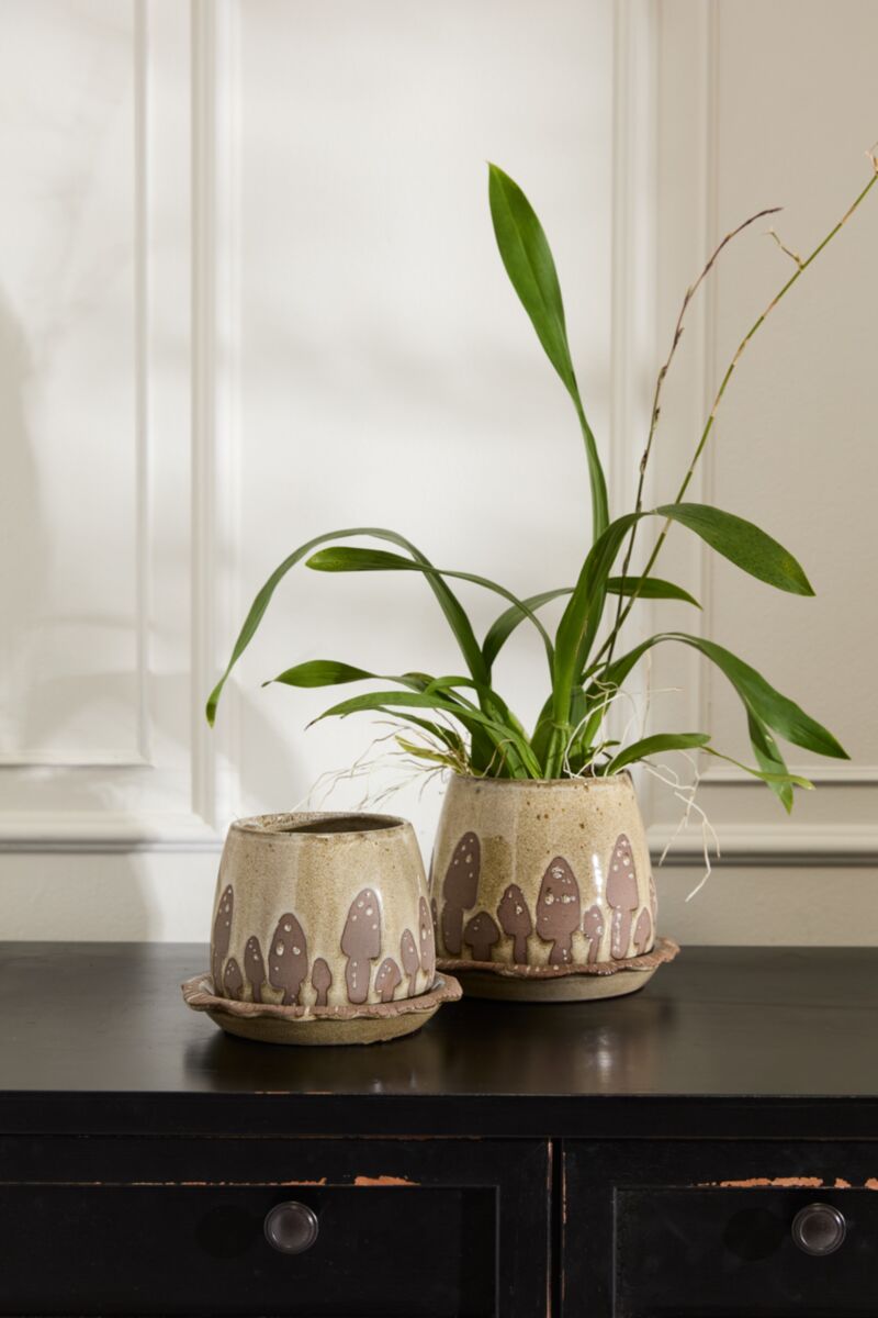 Wild Mushroom Pot with Saucer
