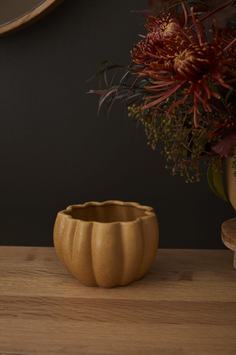 Spiced Pumpkin Pot