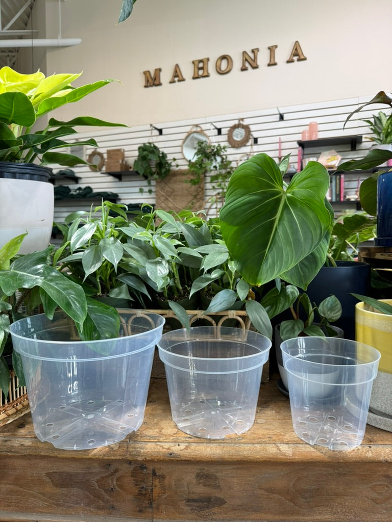 Grow Pot (Clear)