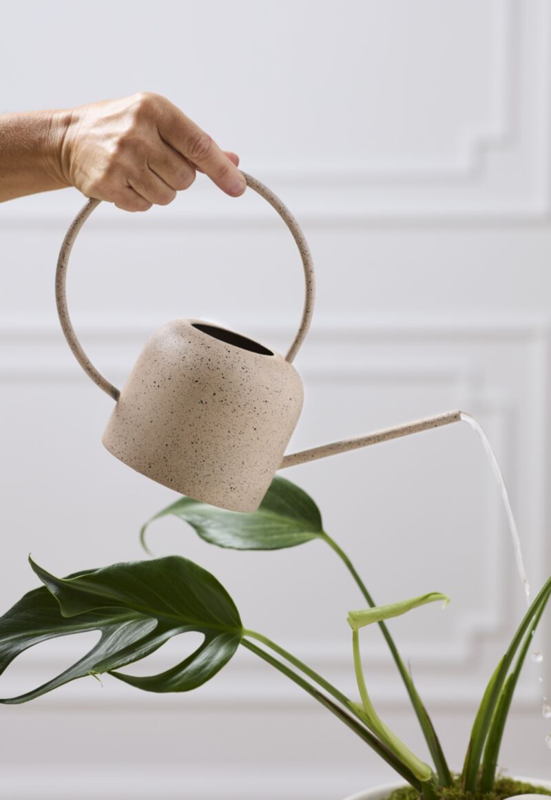 Danielle Watering Can
