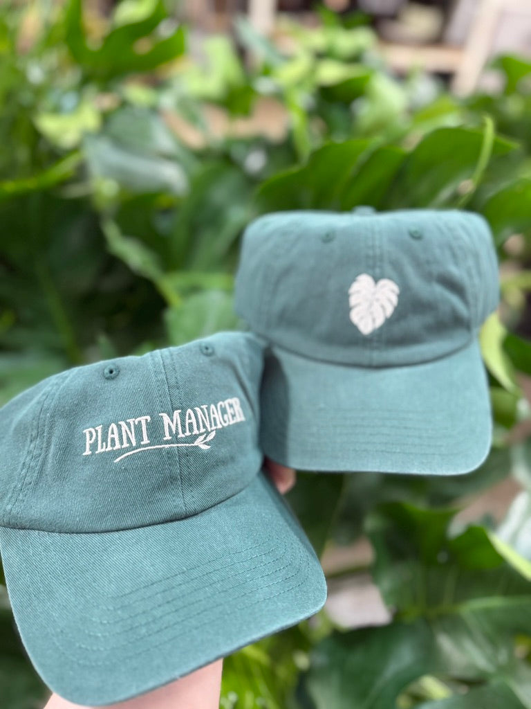 Plant Scouts - Dad Cap