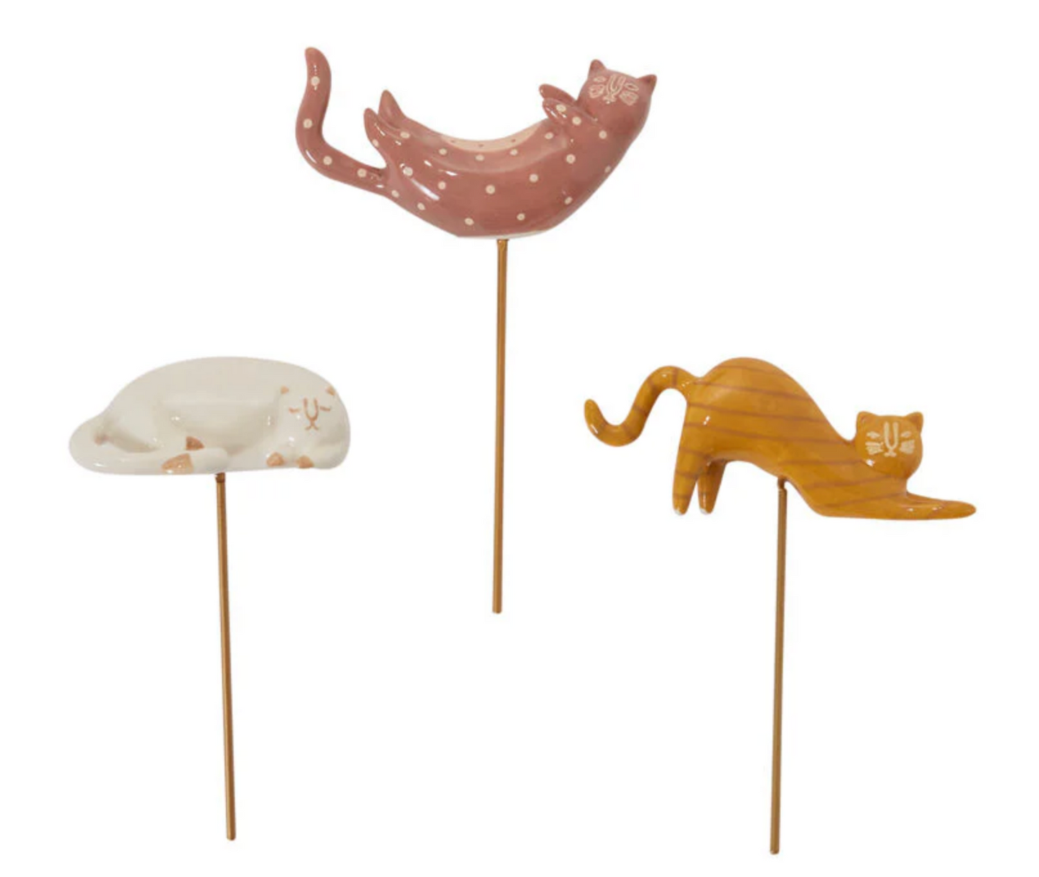 Curious Cat Plant Sticks