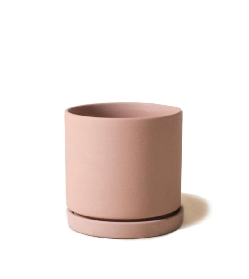 Dojo Pot and Saucer | Terracotta