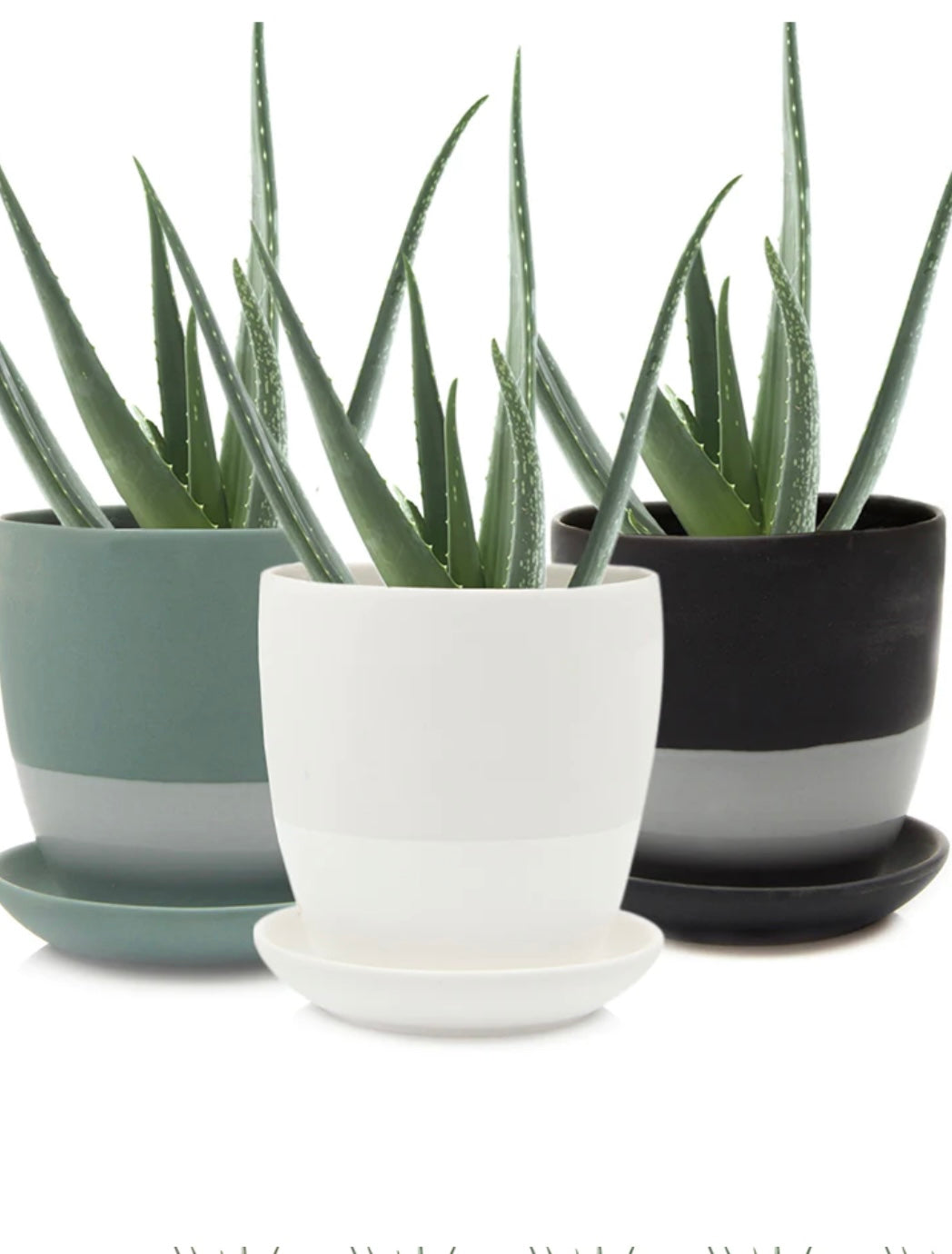 Dyad Pot and Saucer - 5"