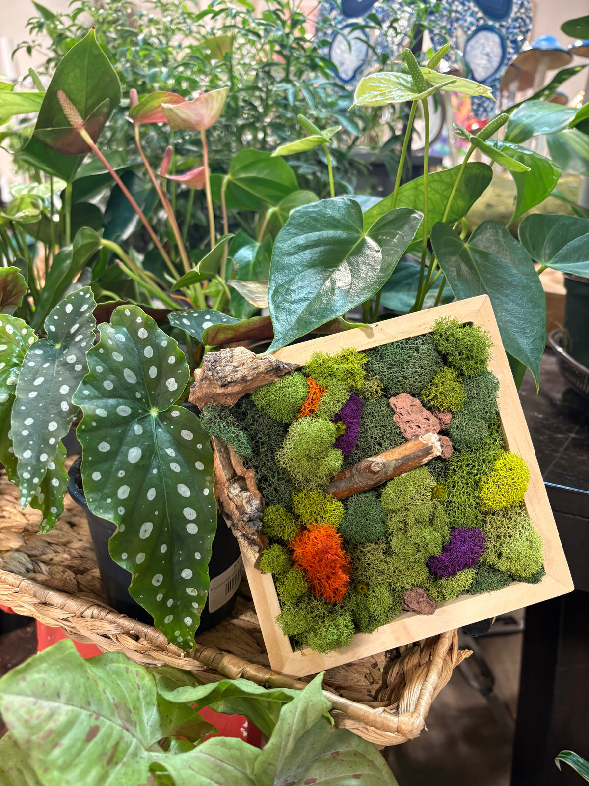 Moss Art Workshop
