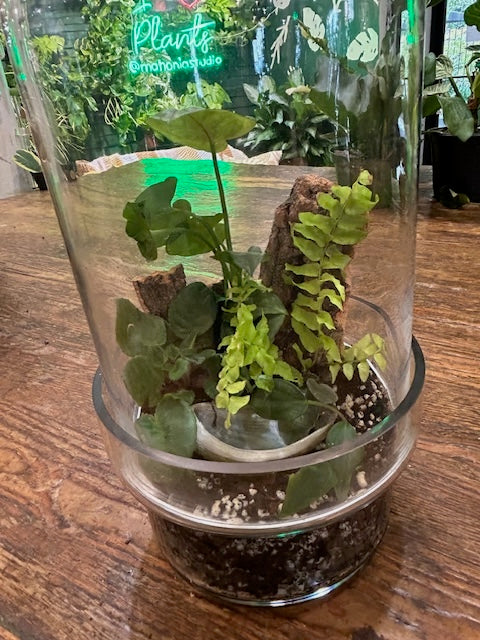 Living Terrarium Workshop