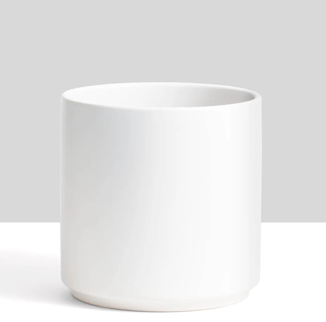 Matte Cylinder | White