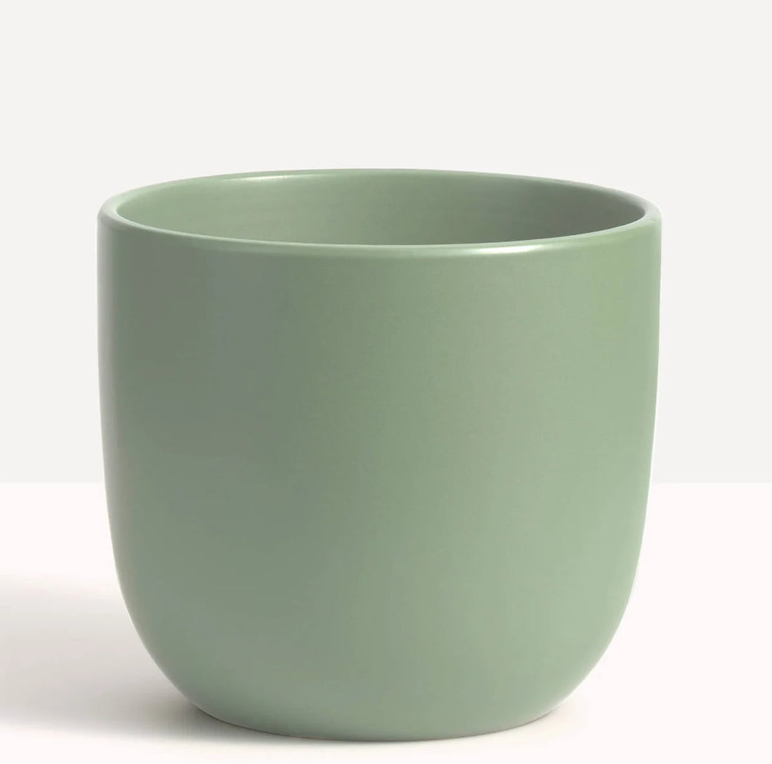 Matte Egg | Green