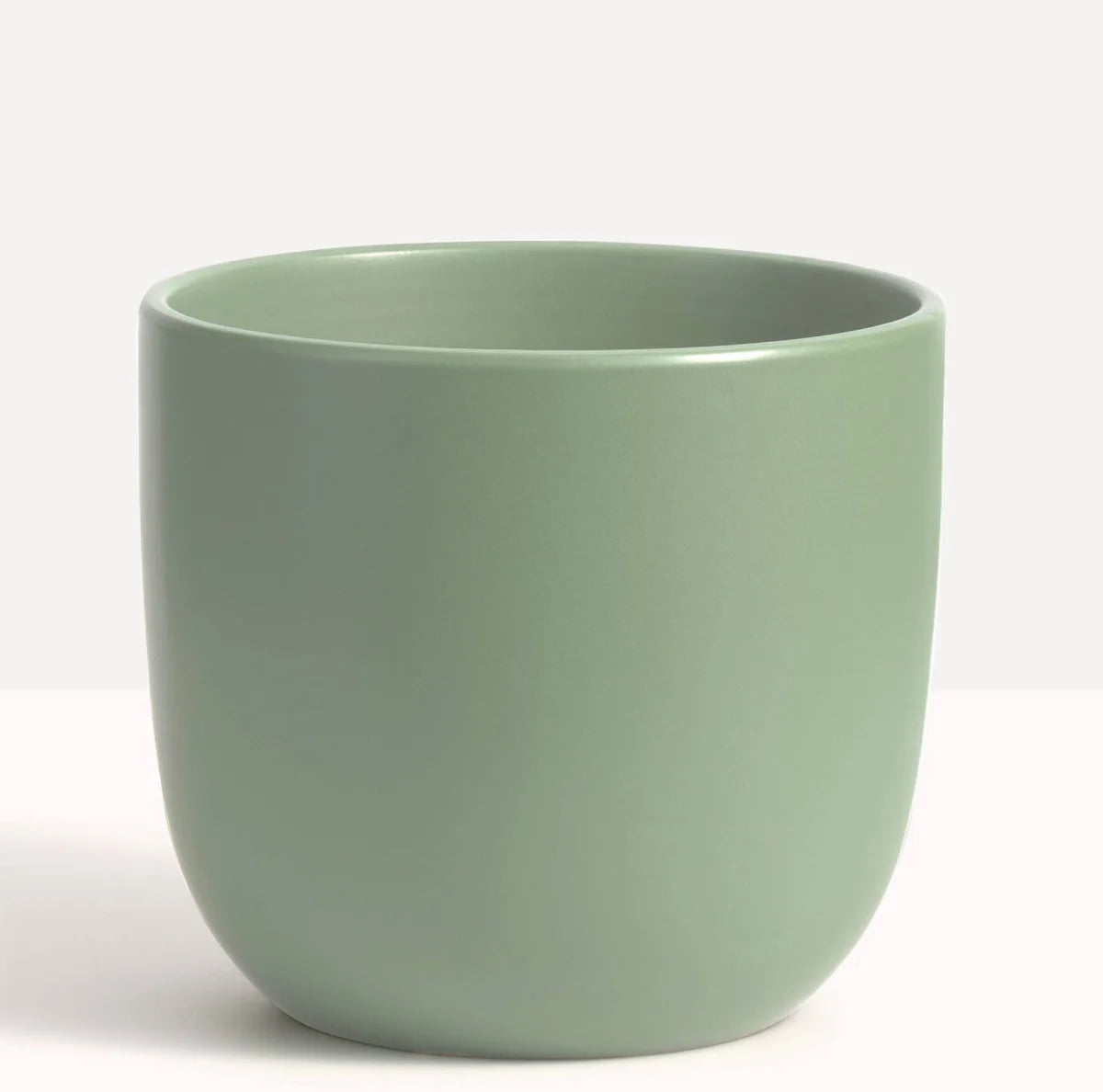 Matte Egg | Green