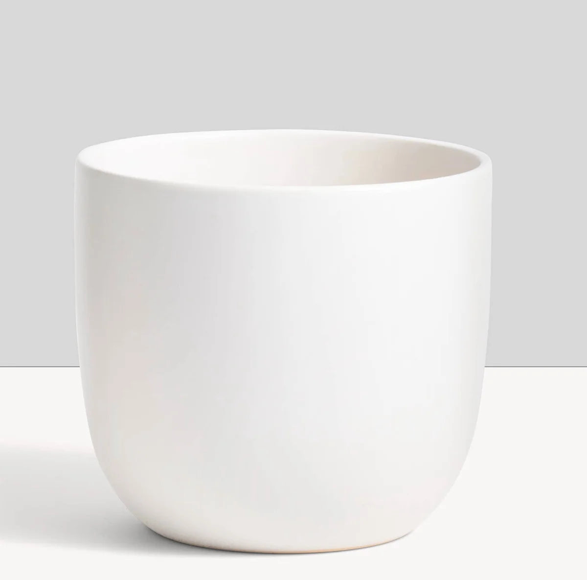 Matte Egg | White