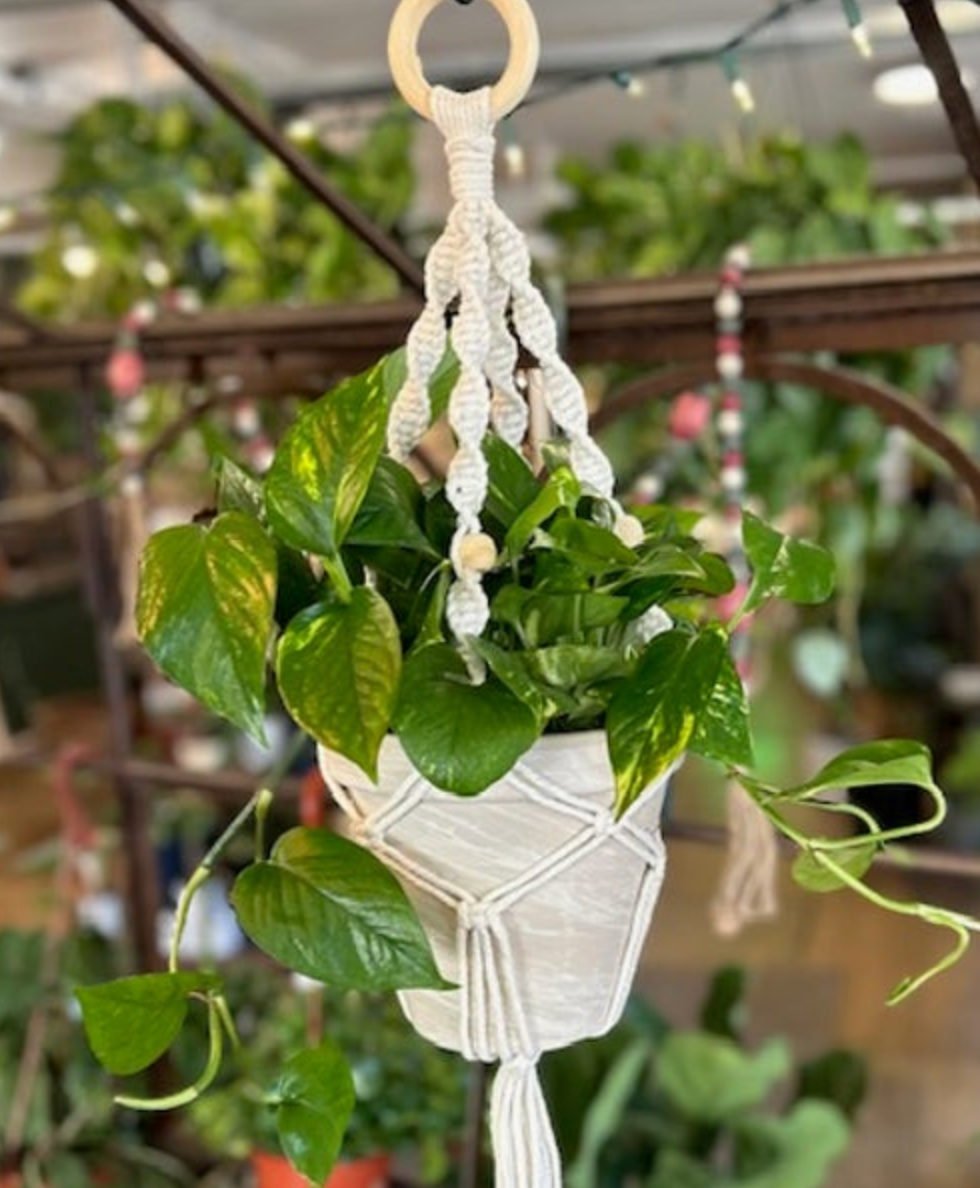 Macrame Workshop