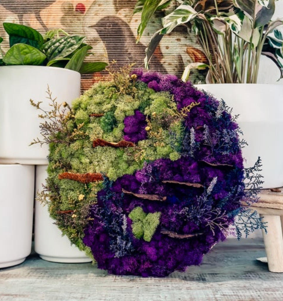 Moss Art Workshop