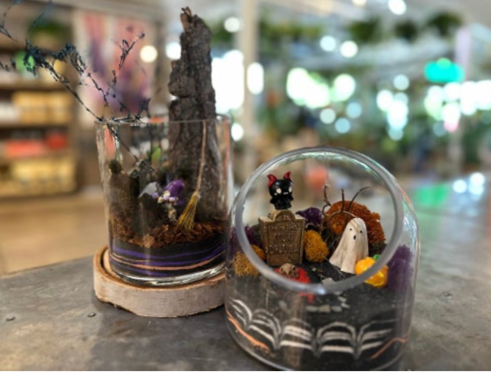 Spooky Terrarium Workshop