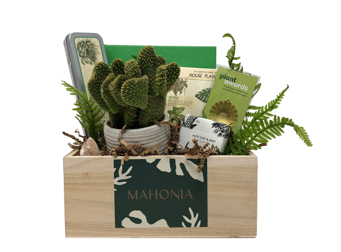 Plant Lovers - GOODS Box