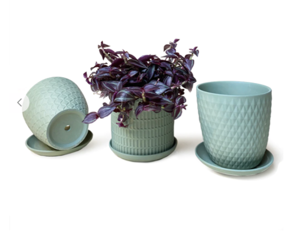 Virago Pot and Saucer