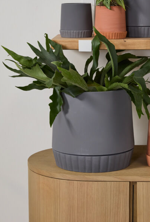 Kadin Pot and Saucer