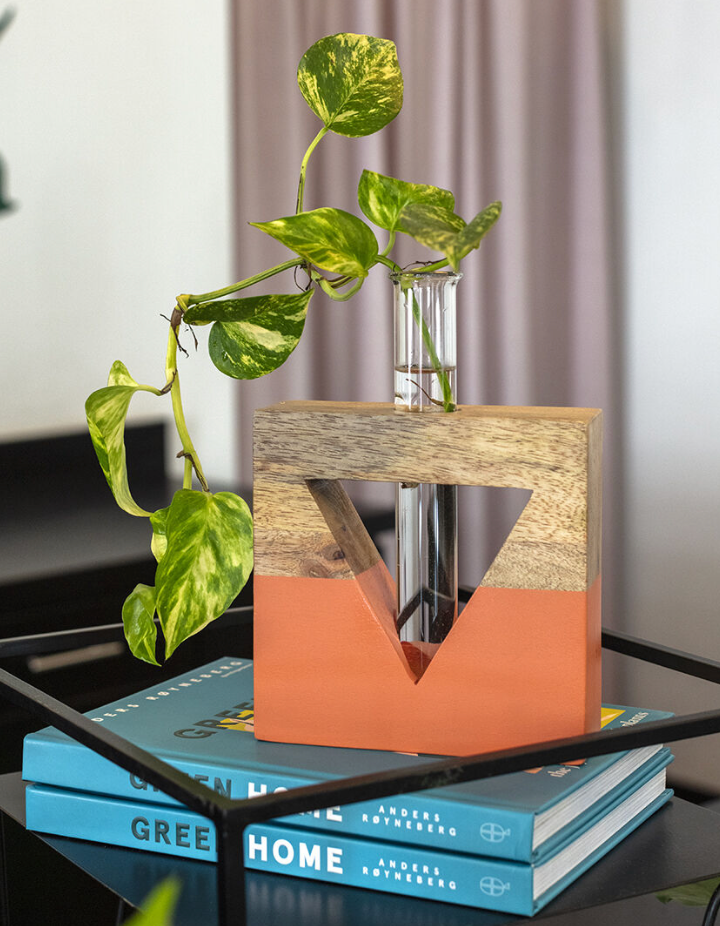 Lotem Propagation
