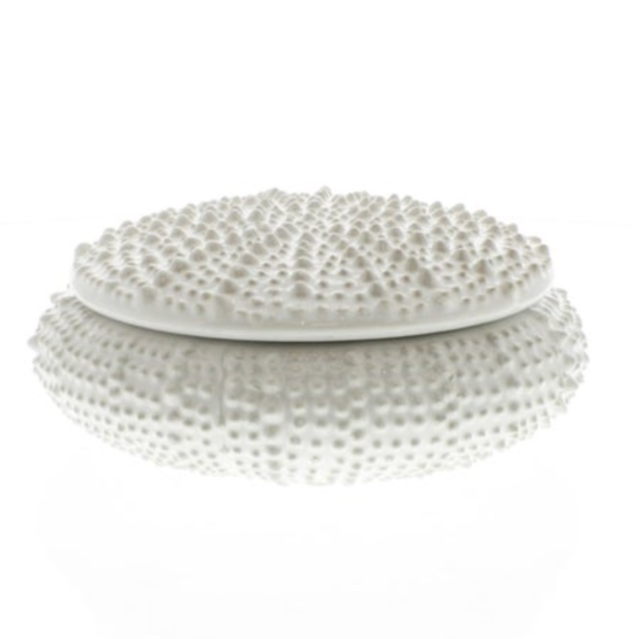 Urchin Ceramic Box