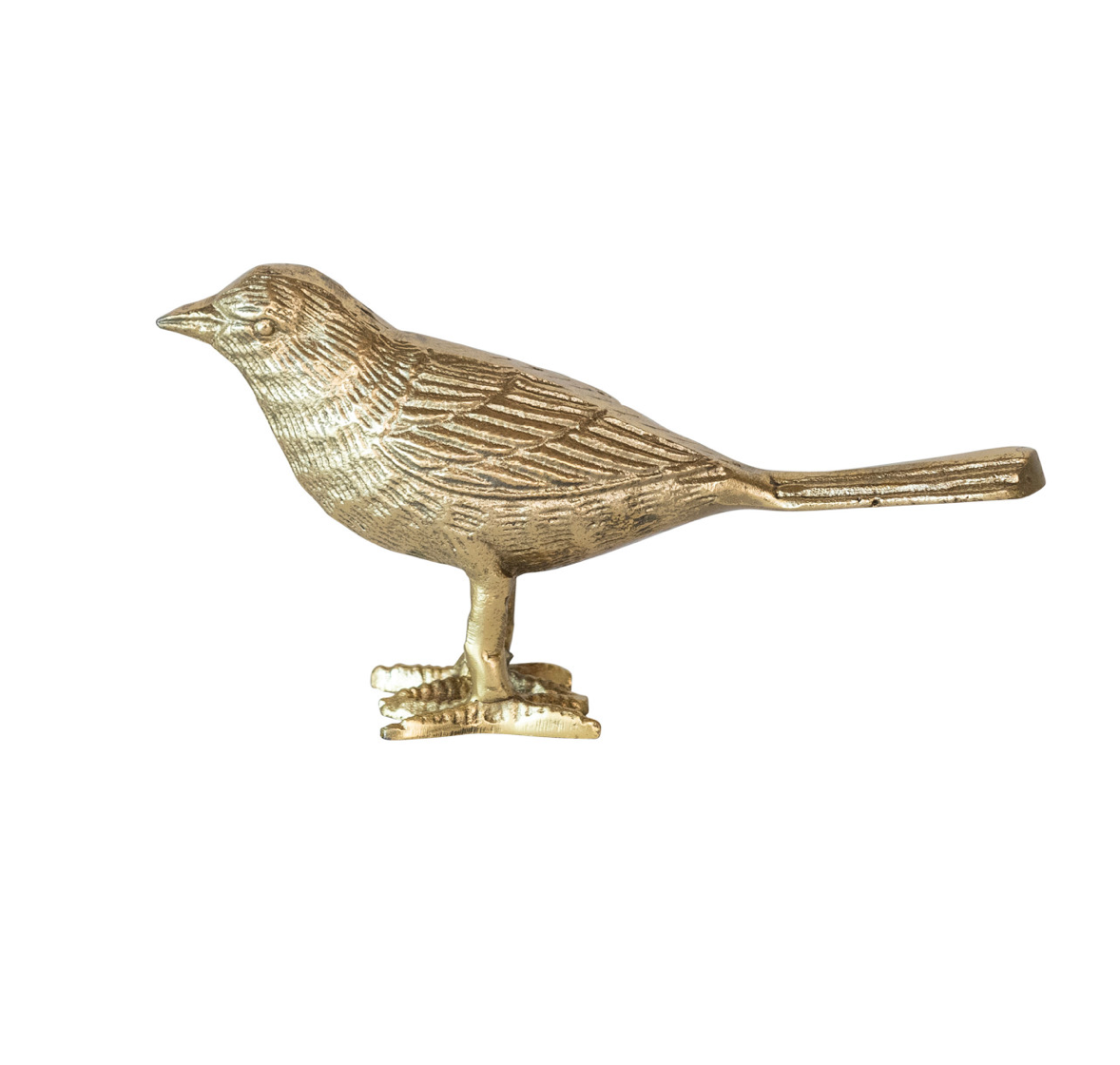 Gold Finch