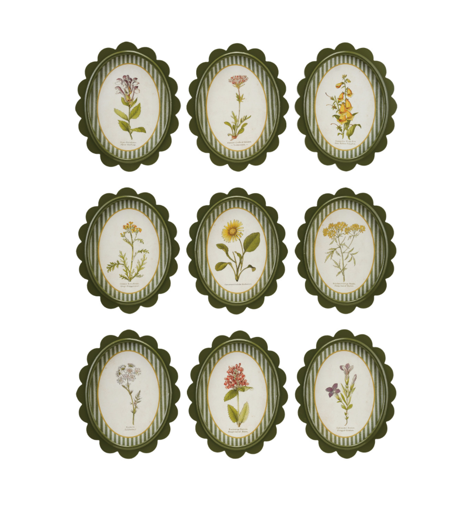 Framed Floral