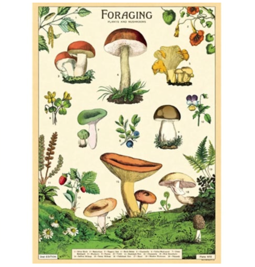 Botanical Poster with Hanging Kit