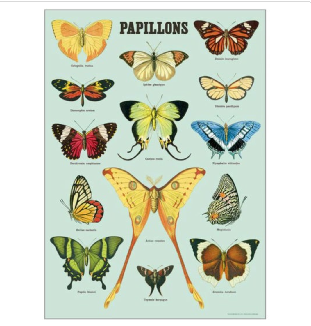 Botanical Poster with Hanging Kit