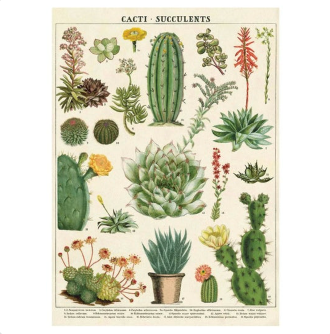 Botanical Poster with Hanging Kit