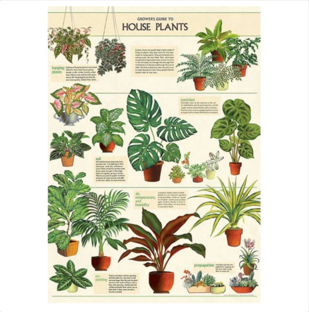 Botanical Poster with Hanging Kit