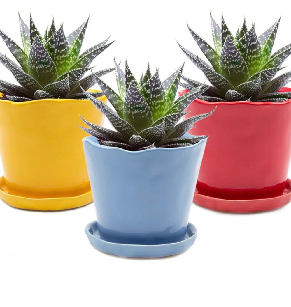 Tika Pot with Saucer