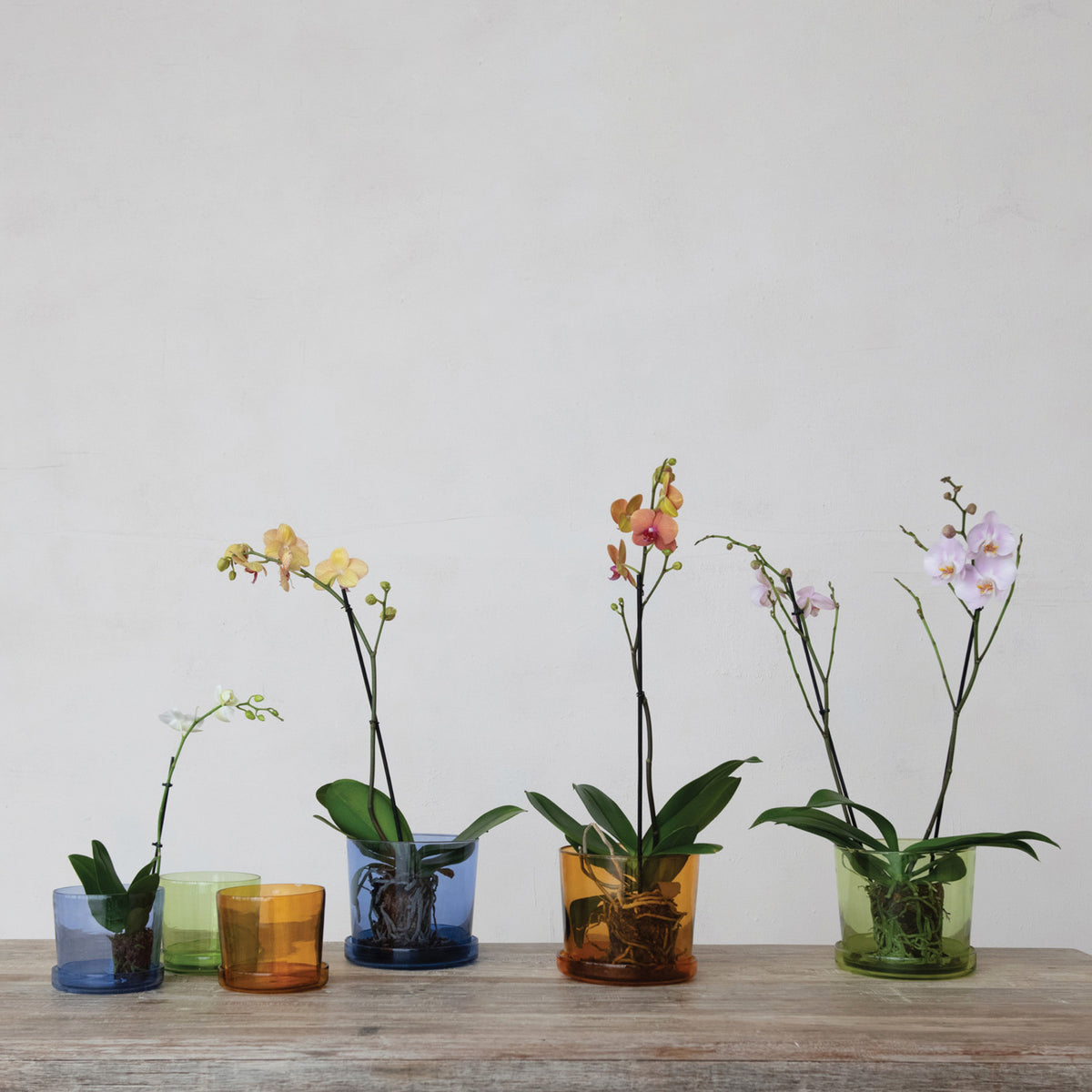 Hand Blown Glass Planter and Saucer