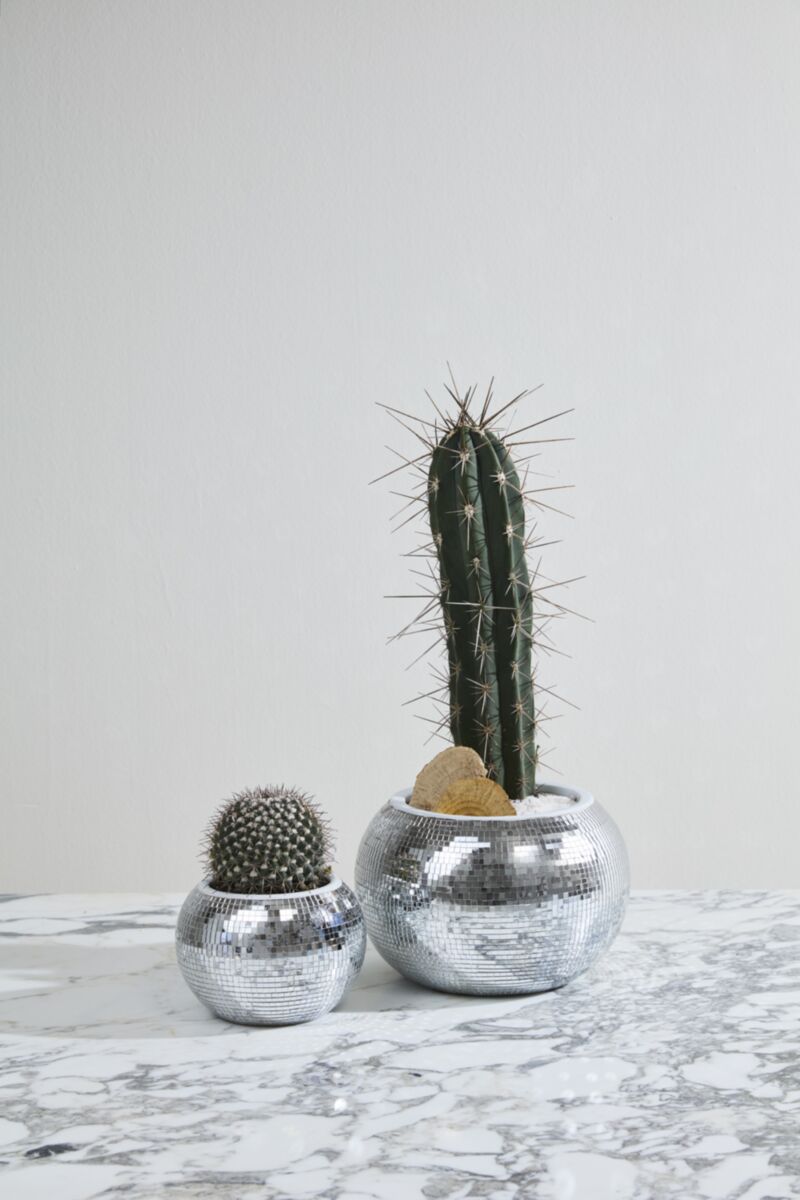 Disco Pot