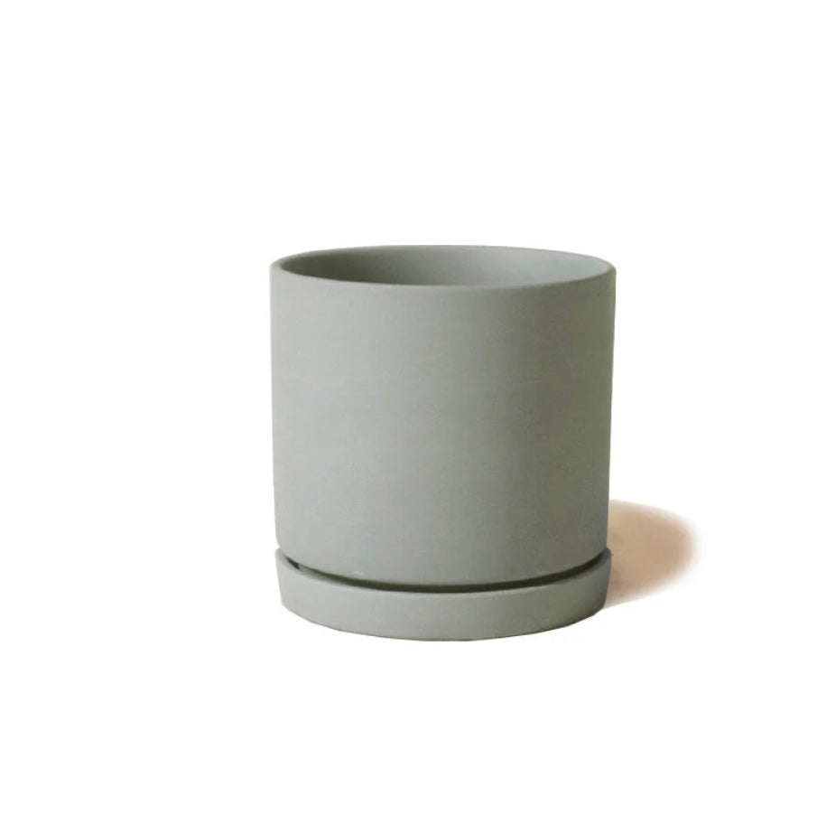 Dojo Pot and Saucer | Olive