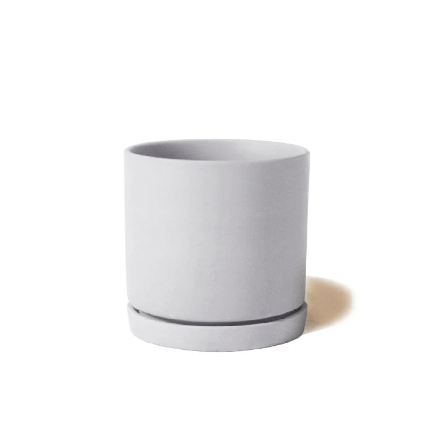 Dojo Pot and Saucer | Lite Grey