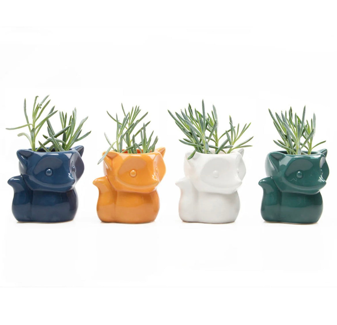 Fox Cachepot