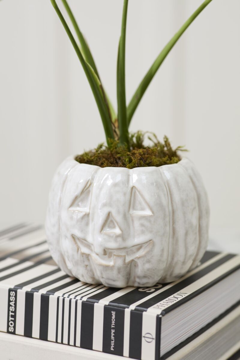 Glazed Pumpkin Pot