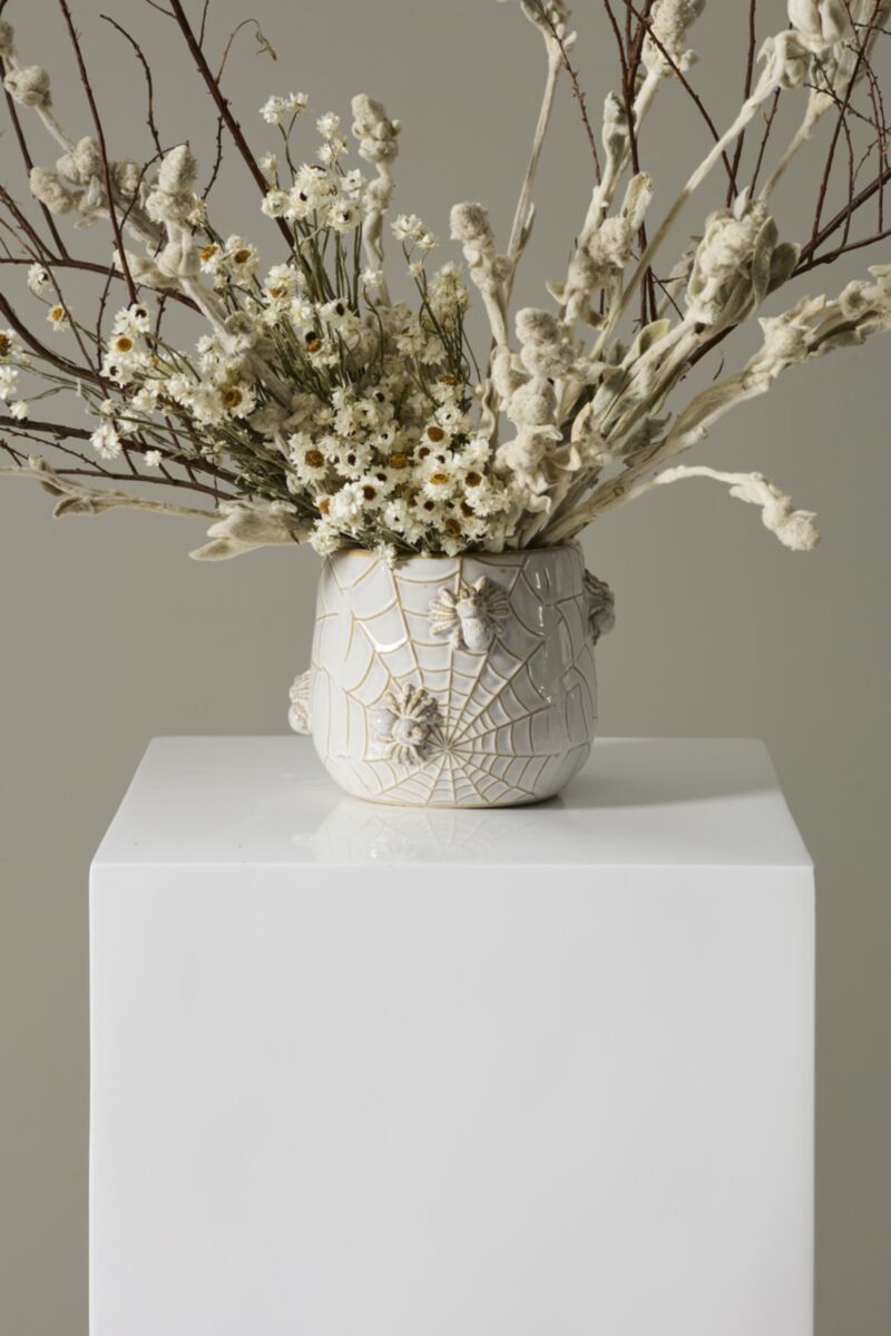 House Spider Pot