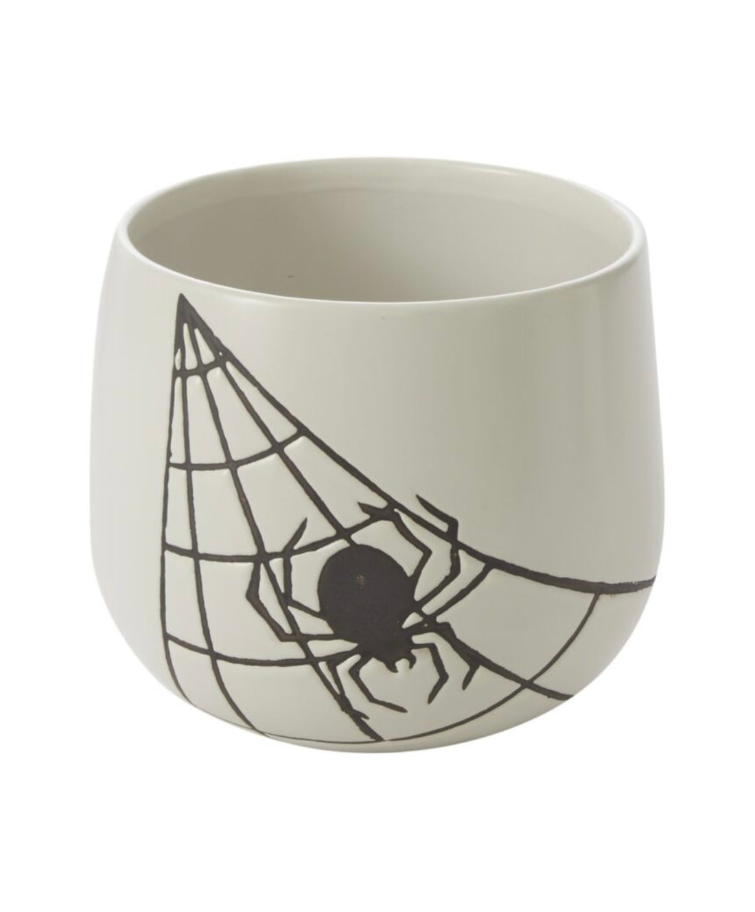 Spiderweb Cachepot